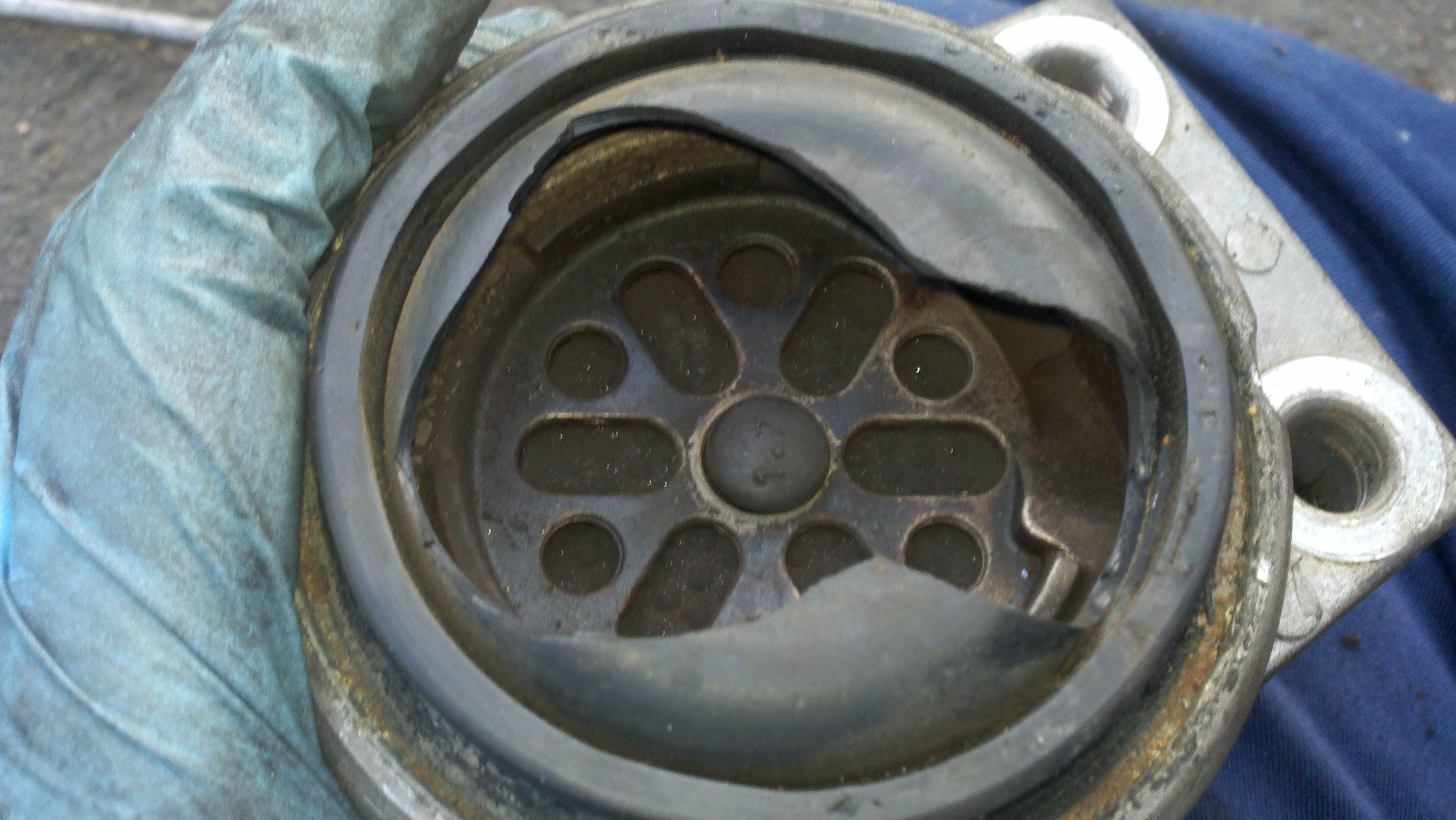 Here is a dissassembly of a failed Ford Focus 2001 passenger engine mount